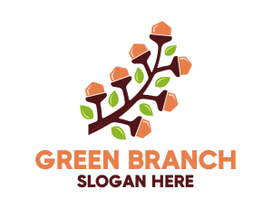 Branch - Acorn Nut Branch logo design