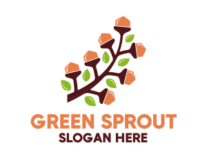 Seed - Acorn Nut Branch logo design