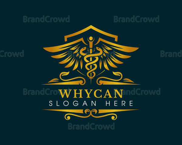 Caduceus Medical Hospital Logo