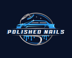 Automotive Detailing Polish logo design