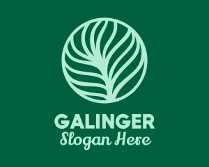 Green Plant Palm Leaf Logo