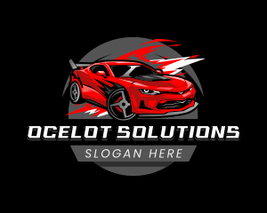 Car Auto Detailing logo design