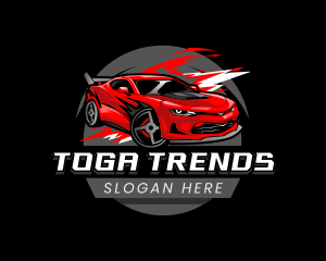 Car Auto Detailing logo design