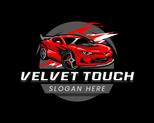 Car Auto Detailing logo design