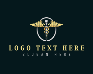 Health Care Provider - Medical Health Caduceus logo design