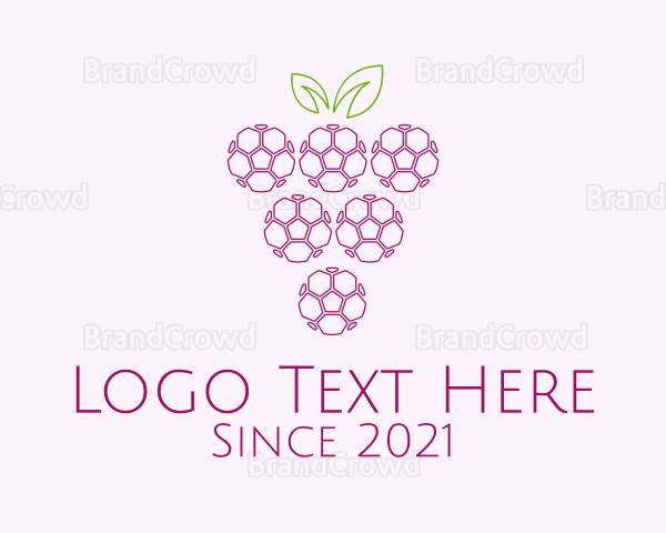 Outline Grape Fruit Logo