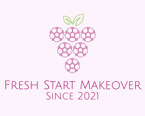 Outline Grape Fruit  logo design