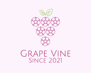 Grapes - Outline Grape Fruit logo design