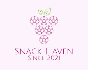 Outline Grape Fruit  logo design