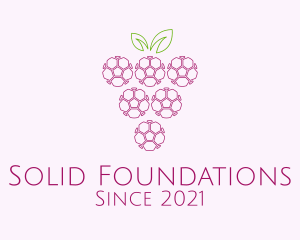 Juice Stall - Outline Grape Fruit logo design