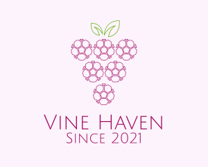 Outline Grape Fruit  logo design