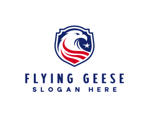 American Eagle Aviation Logo