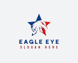 Patriotic Eagle Star logo design