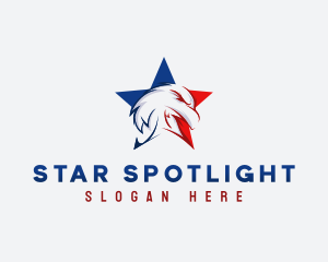 Patriotic Eagle Star logo design