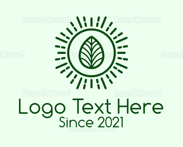 Green Sun Leaf Logo