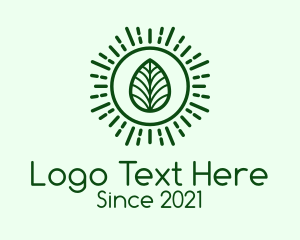 Environment Friendly - Green Sun Leaf logo design