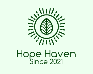 Environment Friendly - Green Sun Leaf logo design