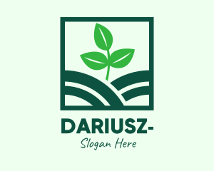 Organic Plant Seedling Logo