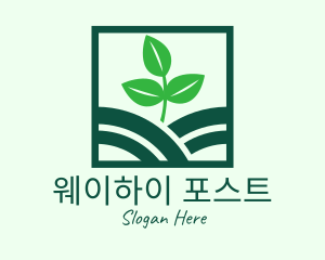 Organic Plant Seedling logo design