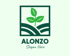 Organic Plant Seedling logo design