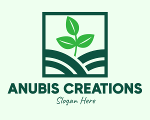 Organic Plant Seedling logo design