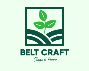 Organic Plant Seedling logo design