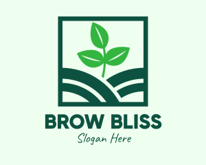 Organic Plant Seedling logo design