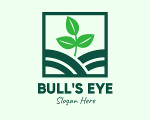 Organic Plant Seedling logo design