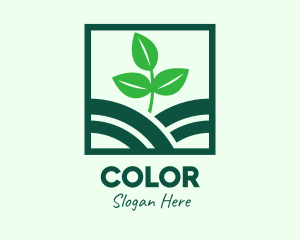 Organic - Organic Plant Seedling logo design