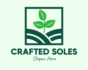 Organic Plant Seedling logo design