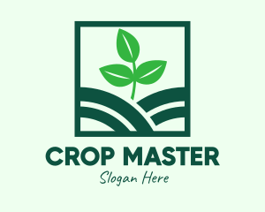 Organic Plant Seedling logo design