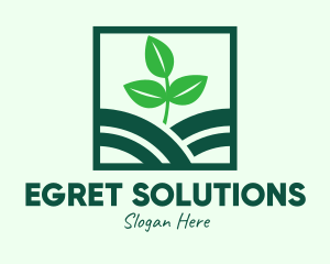 Organic Plant Seedling logo design