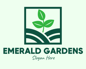 Organic Plant Seedling logo design