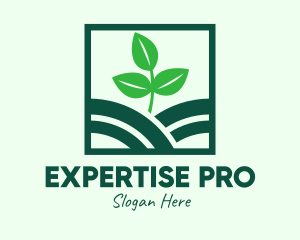 Organic Plant Seedling logo design