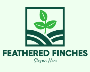 Organic Plant Seedling logo design