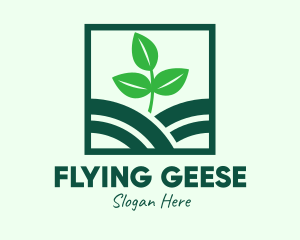 Organic Plant Seedling logo design