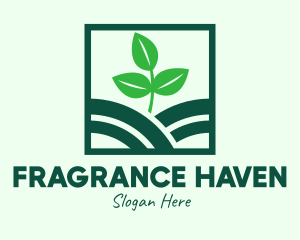 Organic Plant Seedling logo design