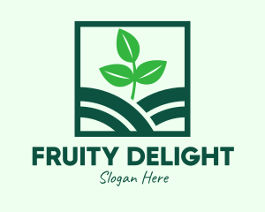 Organic Plant Seedling logo design