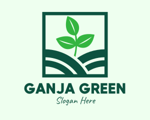 Organic Plant Seedling logo design