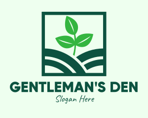 Organic Plant Seedling logo design