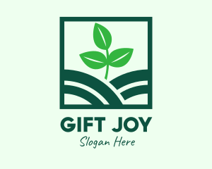 Organic Plant Seedling logo design