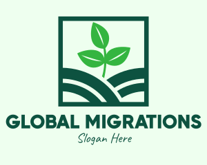 Organic Plant Seedling logo design