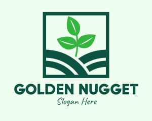 Organic Plant Seedling logo design