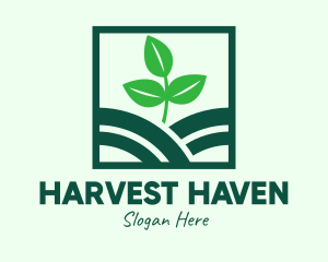 Organic Plant Seedling logo design