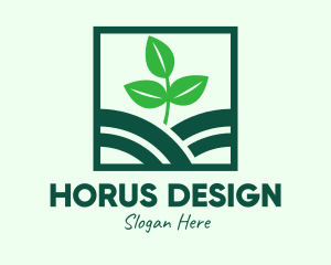 Organic Plant Seedling logo design