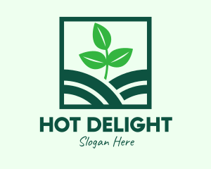 Organic Plant Seedling logo design