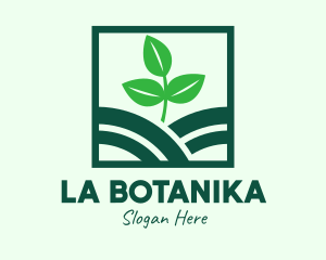 Organic Plant Seedling logo design