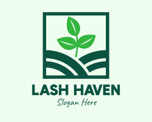 Organic Plant Seedling logo design