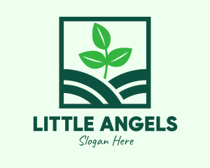 Organic Plant Seedling logo design