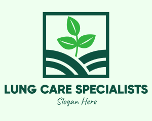 Organic Plant Seedling logo design